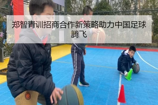 郑智青训招商合作新策略助力中国足球腾飞